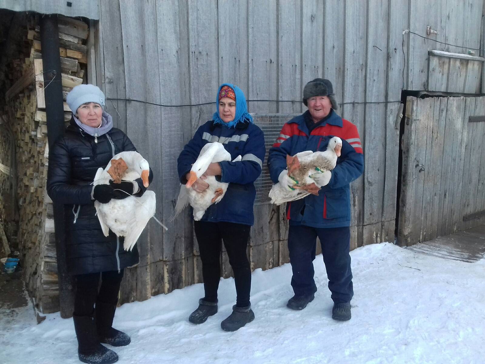 Погода в чув карамалах. Новые Карамалы.